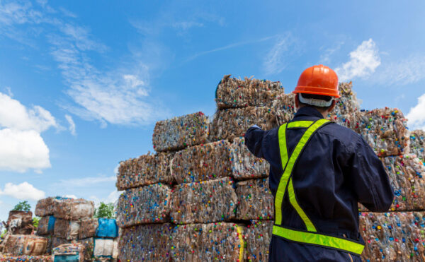 Emballages de produits de restauration : une nouvelle filière REP