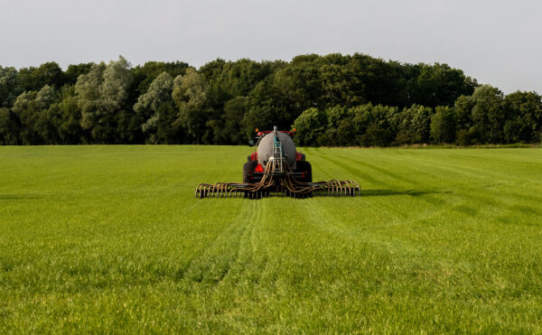 Une entreprise coupable, mais pas responsable ?