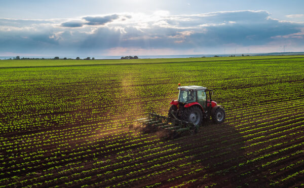 Artificialisation des terres agricoles : la faute à la pression fiscale ?