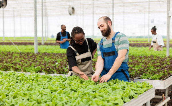 Loi Egalim 3 : de nouvelles évolutions en faveur des agriculteurs