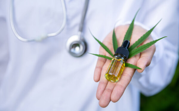 L'expérimentation sur le cannabis thérapeutique joue les prolongations