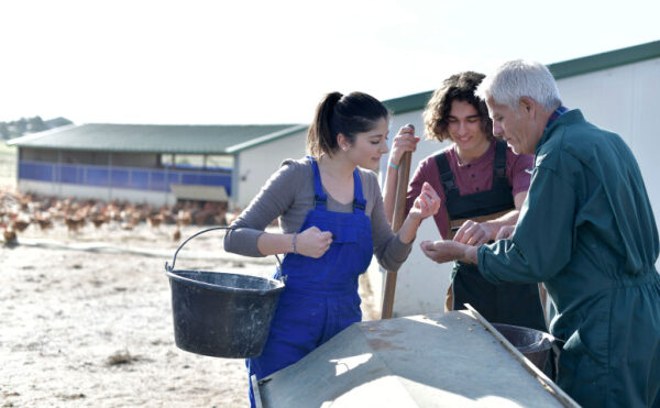 Contrat de professionnalisation : qui paie les frais de scolarité ?