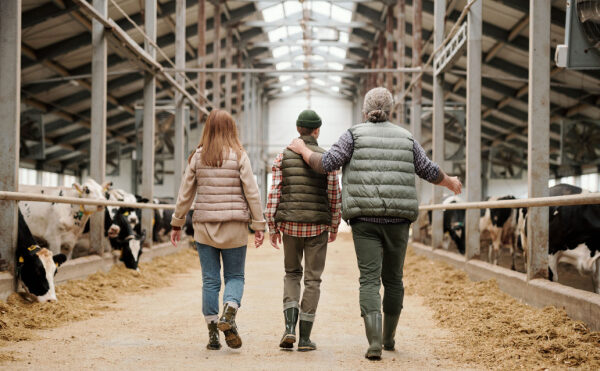 Surcroît d’activité : avez-vous pensé à « l’entraide familiale » ?