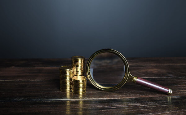 Finances publiques : la chasse à la fraude est ouverte !