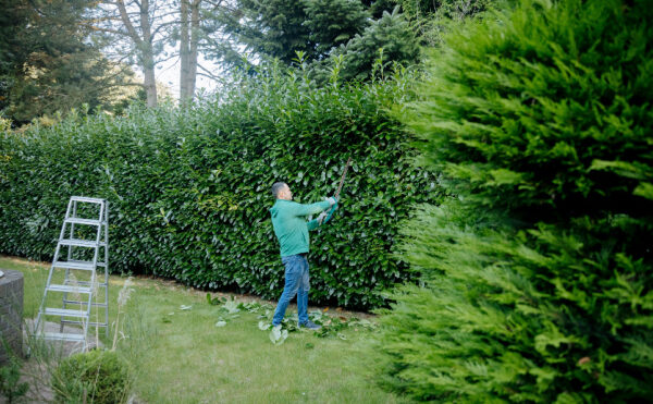 Pièces détachées et pièces de rechange : du neuf... et du moins neuf !