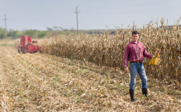 Installation d’un agriculteur : l’âge (ne) fait (pas) tout ?