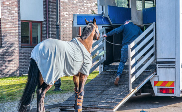 Transport de chevaux par un agriculteur = chronotachygraphe ?
