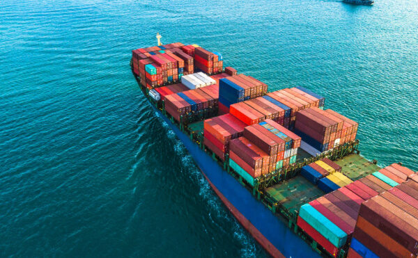 Obligation d’identification à la TVA : pas pour tous !