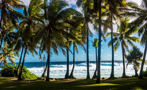 C'est l'été : tous en congé ?