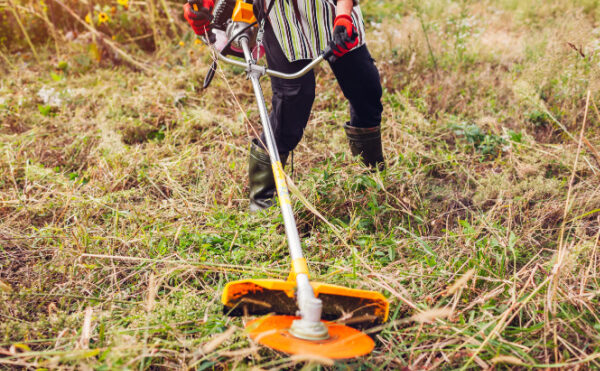 Débroussaillage chez le voisin : une autorisation valable 3 ans !