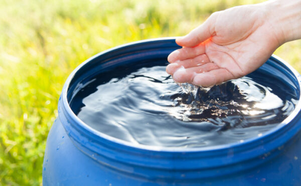 Eaux usées traitées et eaux de pluie : une réutilisation simplifiée ?