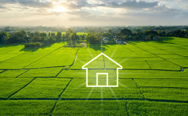 Lutte contre l’artificialisation des sols : un problème d’échelle