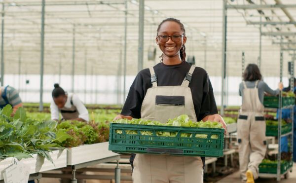 Dons alimentaires aux cantines scolaires = réduction d’impôt ?