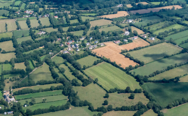 Un « Pacte en faveur de la haie » pour 2024