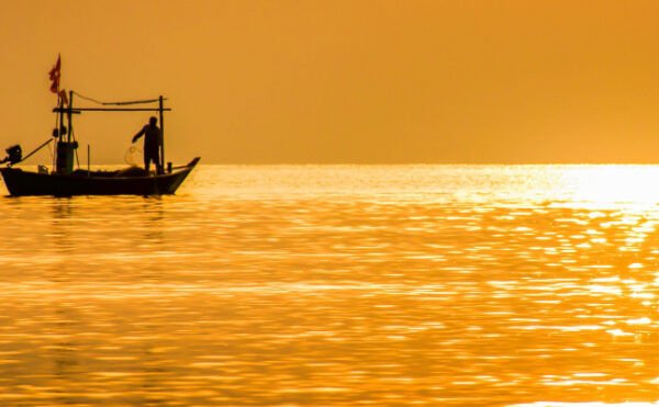 Pollution marine par la chlordécone : une aide financière prolongée