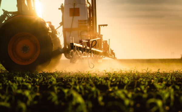 Prosulfocarbe : herbicide toujours autorisé, mais plus encadré
