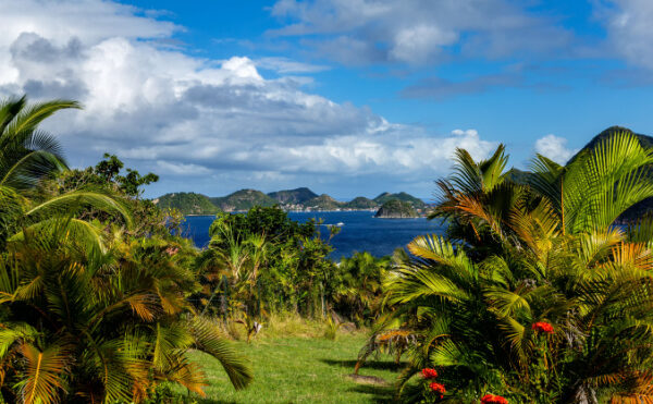 Octroi de mer : fin du papier ?