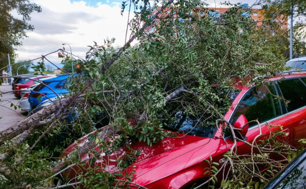 Tempête Ciaran : l’État vole au secours des entrepreneurs