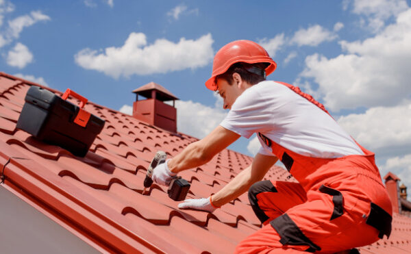 Vente immobilière : quand une information (déterminante ?) est dissimulée par le vendeur…