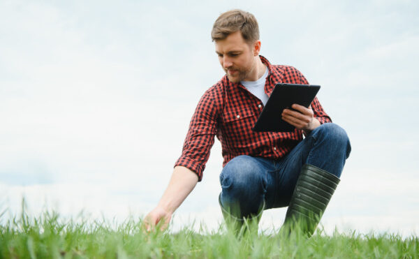 Aide complémentaire au revenu pour les jeunes agriculteurs : quel montant pour 2023 ?