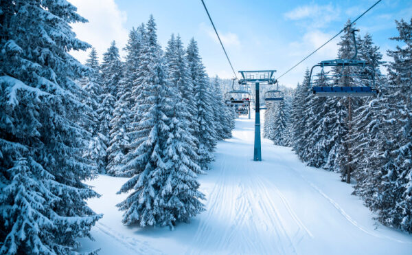 Règle de taxation sur les camions pick-up : ça dépend…