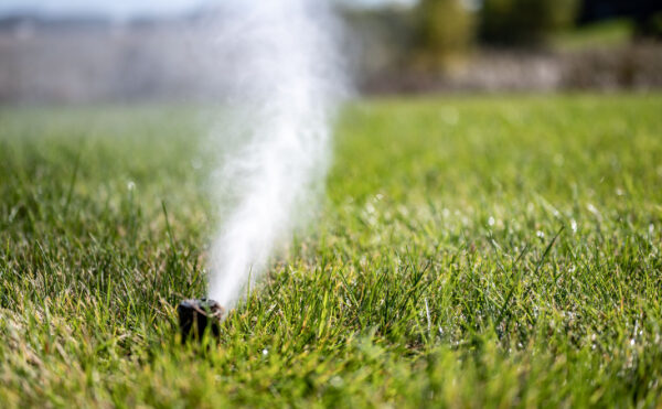 Arrosage des espace verts : est-il possible de recourir aux eaux usées ?