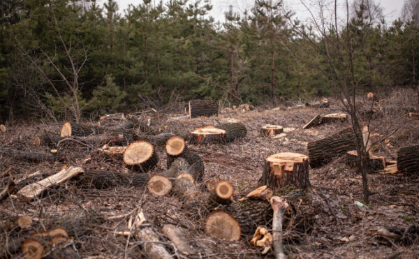 Association : illustration pratique de la notion d’intérêt à agir