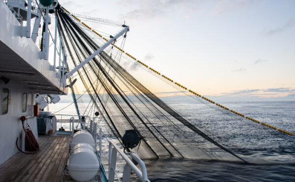 Pêcheurs : le point sur les nouveautés de l’année 2024