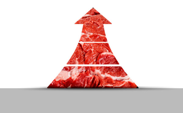 Prix de la viande : hausse en vue ?