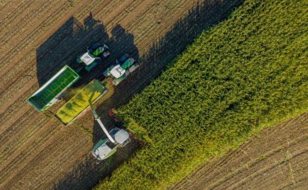 Bail rural : payer ses fermages en fonction de ses récoltes ?