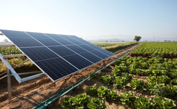 Agrivoltaïque : le cadre est posé