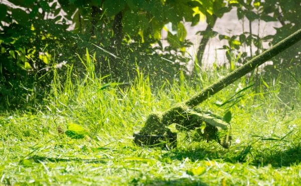 Débroussaillement 2024 : de nouvelles précisions…