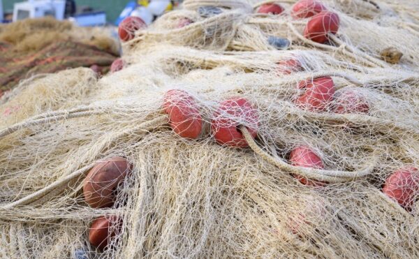 Investir dans un bateau de pêche à La Réunion : un avantage fiscal à la clé ?