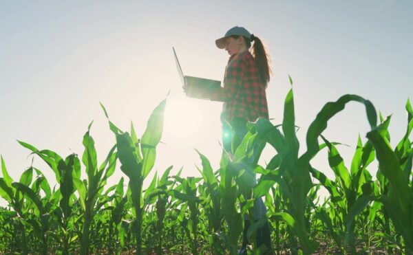 Dirigeants agricoles : quelle nouveauté pour votre déclaration de revenus ?