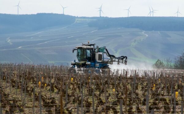 Certiphytos : une durée de validité prorogée d’un an ?