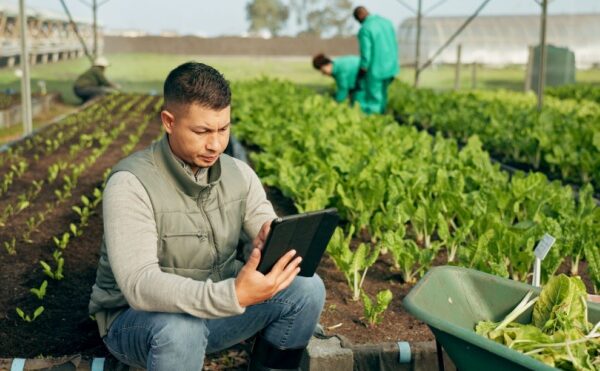 Secteur agricole : relèvement du plafond TO-DE !
