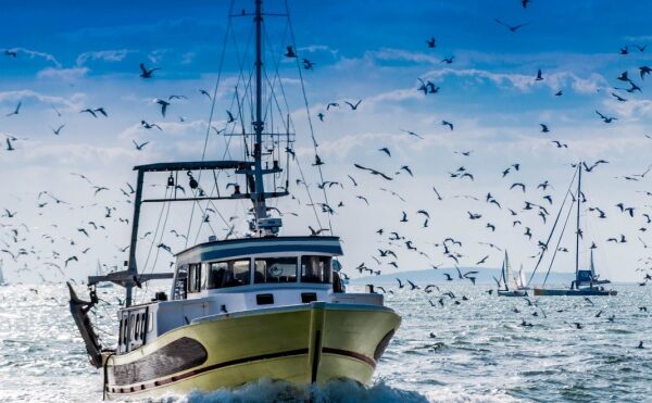 Création d’une aide pour la trésorerie des entreprises de pêche