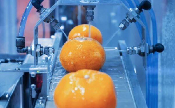 Industrie agroalimentaire : les cas d’usage des eaux recyclées étendus