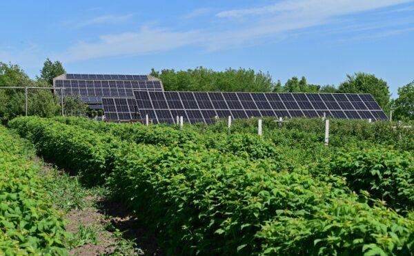 Crédit d’impôt au titre des investissements dans l’industrie verte : c’est bel et bien parti !