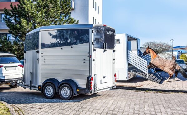 Véhicules dédiés au transport de chevaux : une déduction de TVA bien scellée !