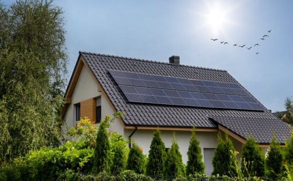 Procédures collectives et poursuites individuelles : ne tombez pas dans le panneau (solaire) !