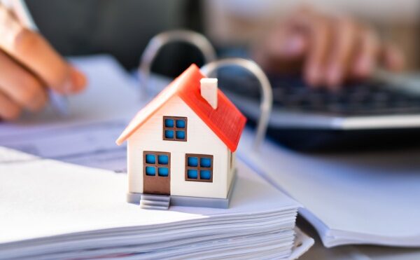 Taxe foncière sur les terrains : ça se cultive ?