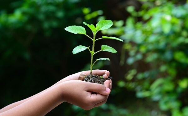 CSRD : comprendre pour mieux se préparer