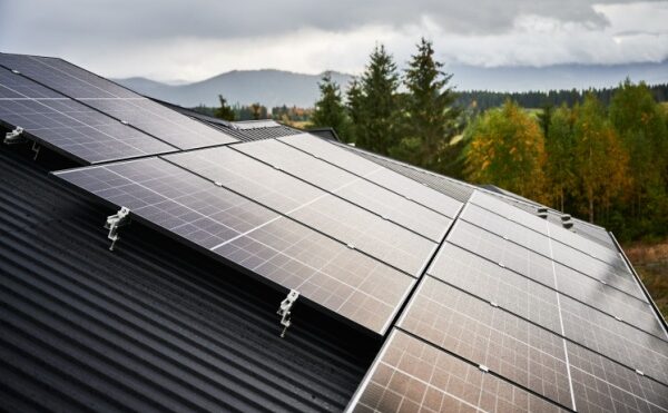 Végétalisation et solarisation des toitures des ICPE : des cas particuliers…