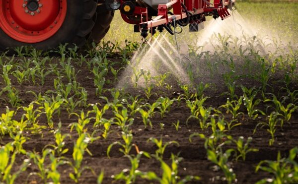 Certiphytos : nouvelle prolongation de la durée de validité