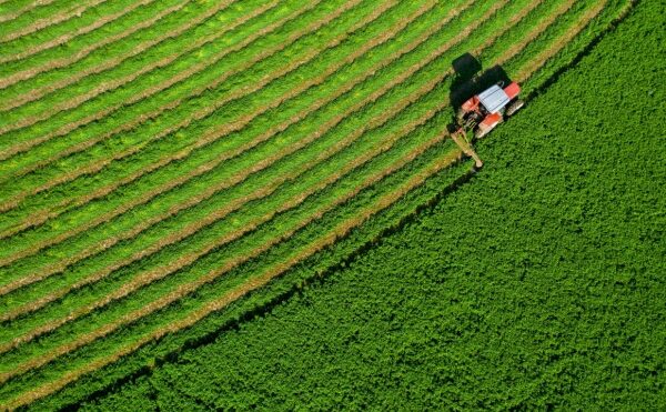 Souveraineté alimentaire : du nouveau ?