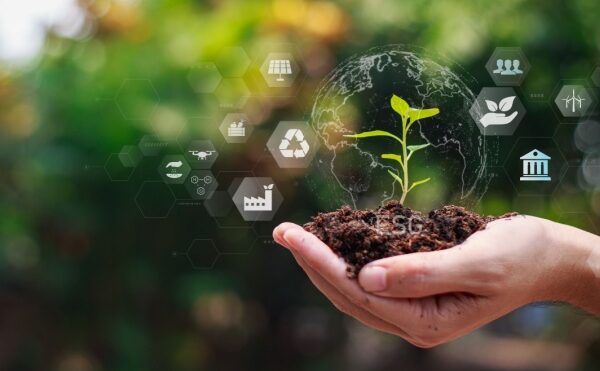 Agriculture : aides financières et respect de l’environnement