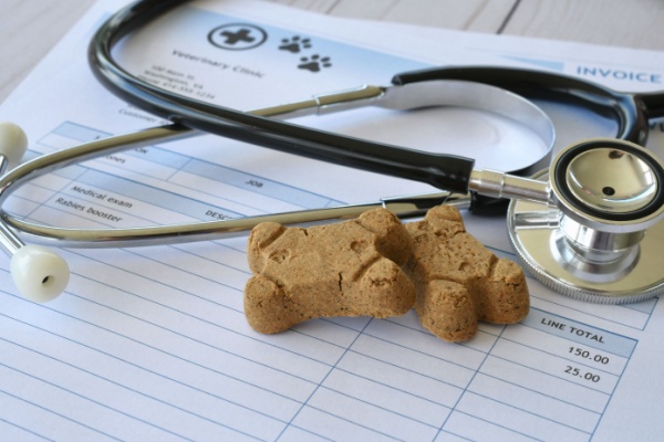 Frais de vétérinaires et d’alimentation animale : une révision de la TVA en vue pour les SPA ?