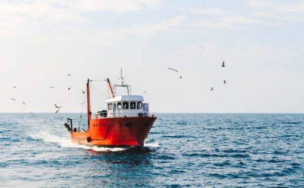 Exonération partielle d’impôt sur le revenu des marins pêcheurs : pour quel montant ?