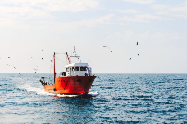 Exonération partielle d’impôt sur le revenu des marins pêcheurs : pour quel montant ?